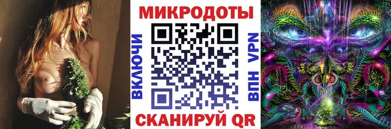 даркнет наркотические препараты  блэк спрут как войти  Рузаевка  Псилоцибиновые грибы Psilocybe 