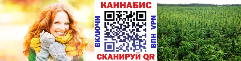 магазин продажи Рузаевка Шишки марихуана гибрид